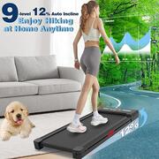 Image of TrailViber Walking Pad